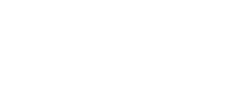 SettlPay